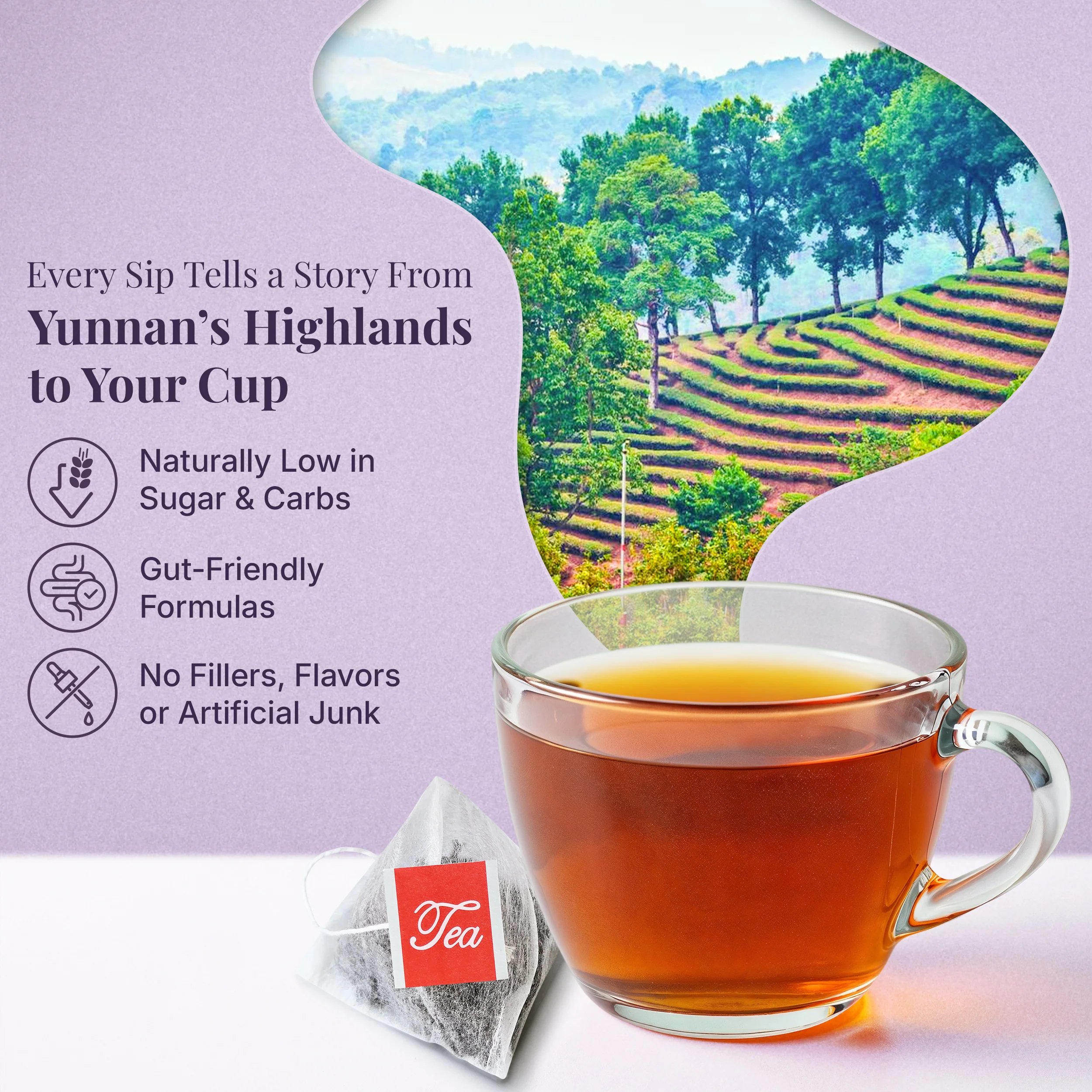3x PiPi Tea Organic Tea Bags | Tea Leaves From Pu'er | Non GMO, Gluten Free, Naturally High Grown | Whole Loose-Leaf Tea Bags Beverage - Image 3